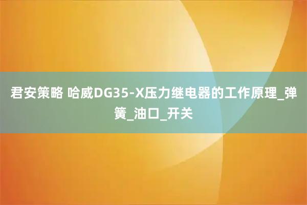 君安策略 哈威DG35-X压力继电器的工作原理_弹簧_油口_开关