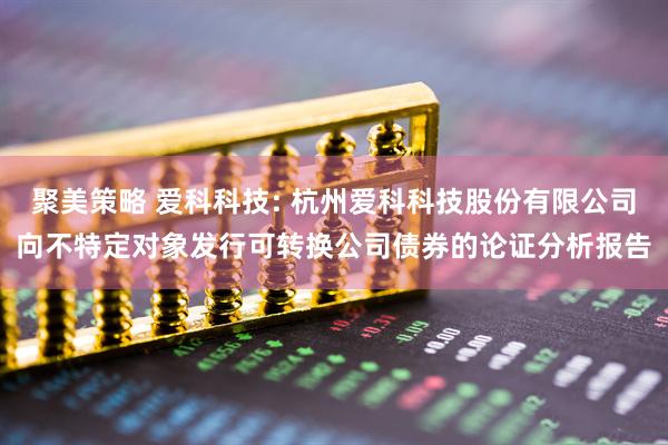 聚美策略 爱科科技: 杭州爱科科技股份有限公司向不特定对象发行可转换公司债券的论证分析报告